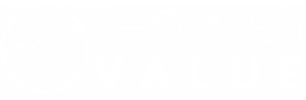 Logo von Thomsen Value in weißer Schrift und transparentem Hintergrund